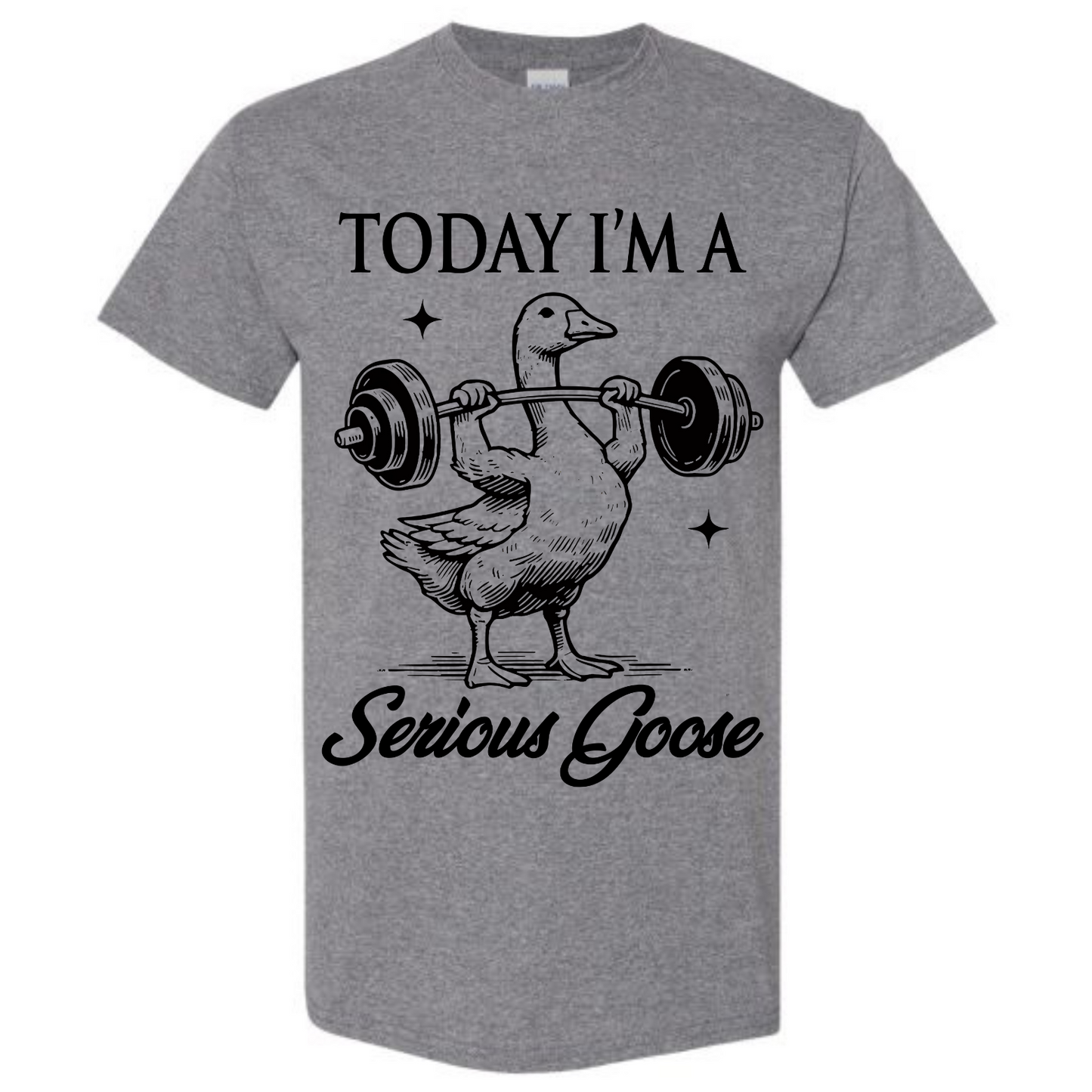 BISHAM SERIOUS GOOSE TEE