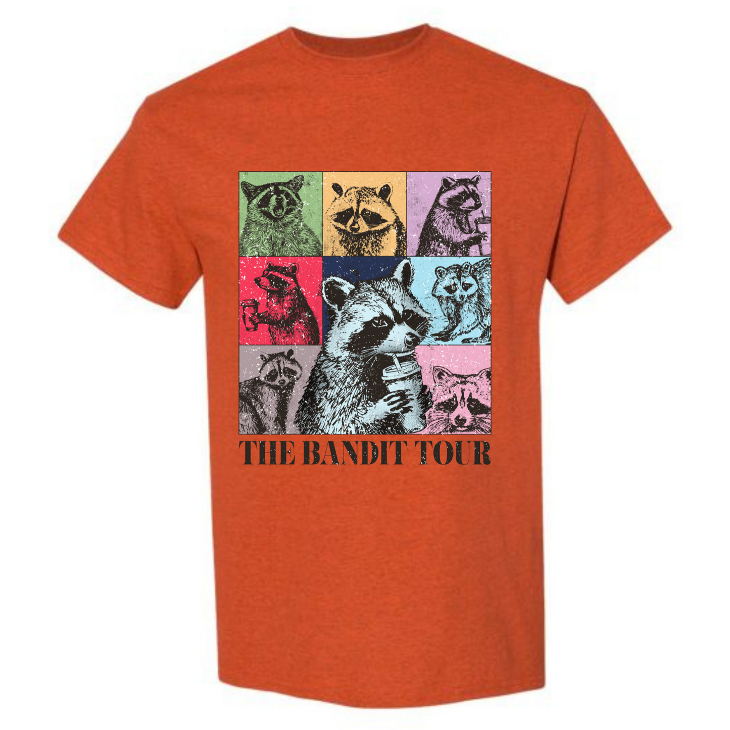BISHAM BANDIT TOUR RACOON TEE