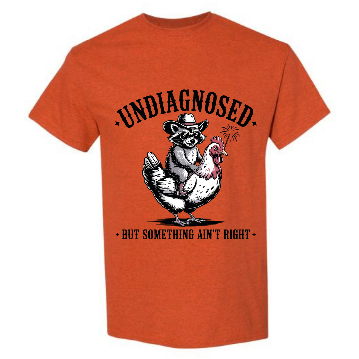 BISHAM UNDIANOSED RACOON TEE