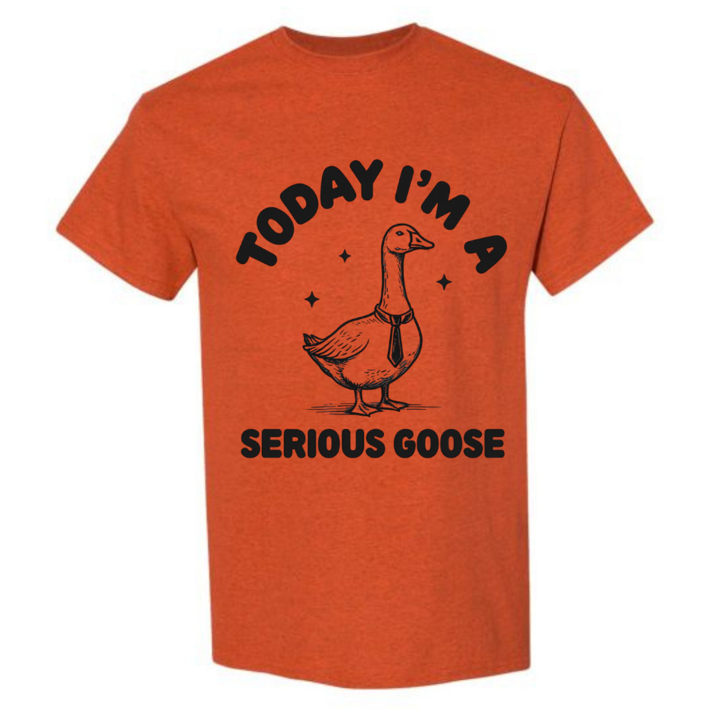 BISHAM SERIOUS GOOSE TEE