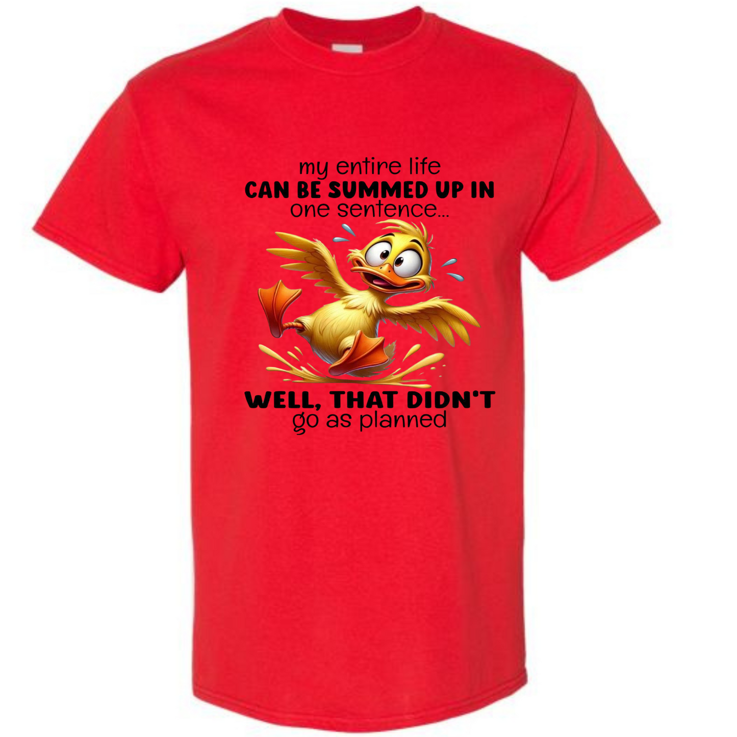 BISHAM DIDN'T GO AS PLANNED TEE
