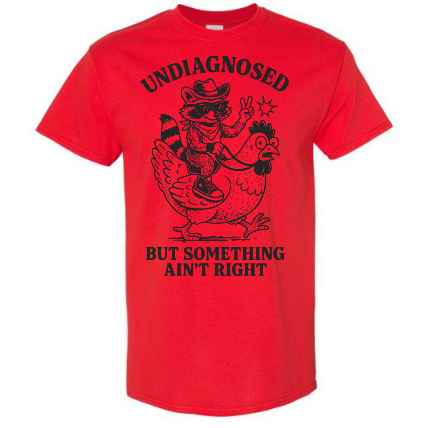 BISHAM UNDIAGNOSED RACOON TEE