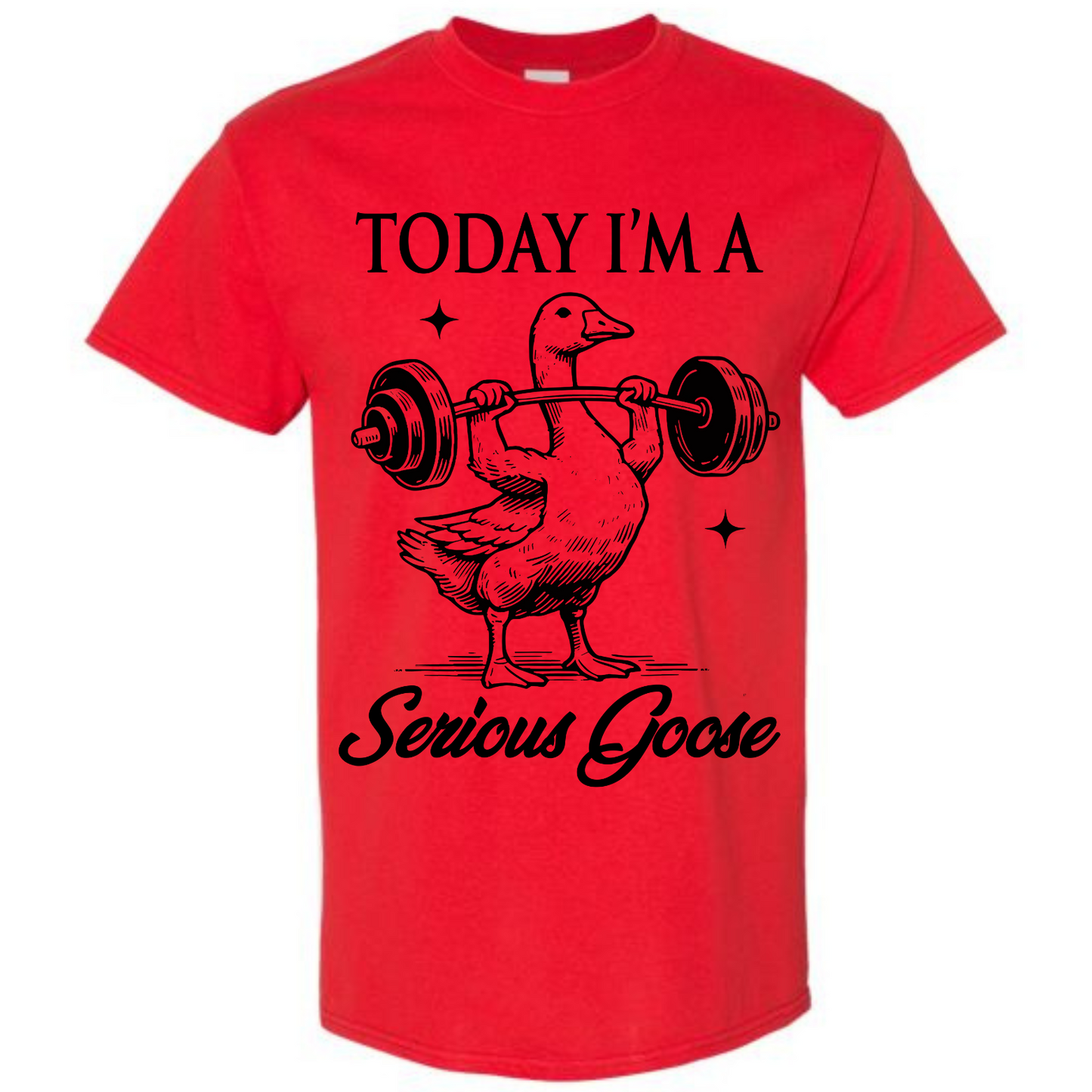 BISHAM SERIOUS GOOSE TEE