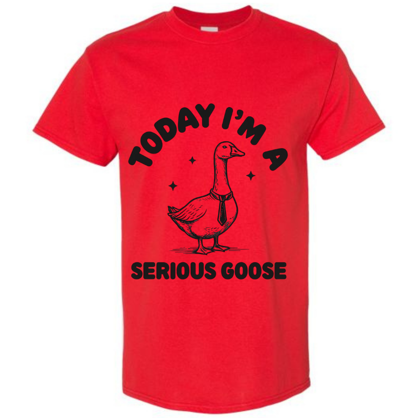 BISHAM SERIOUS GOOSE TEE