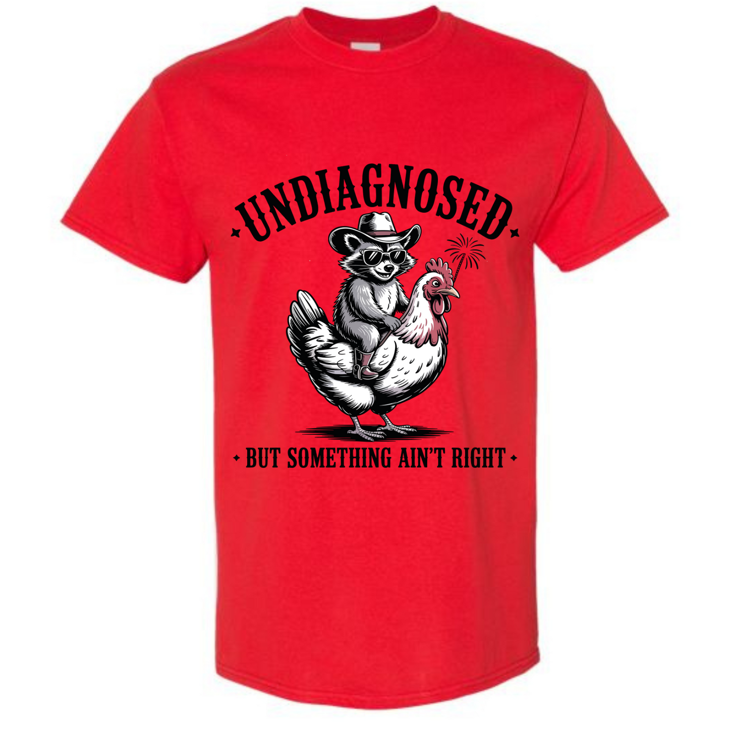 BISHAM UNDIANOSED RACOON TEE