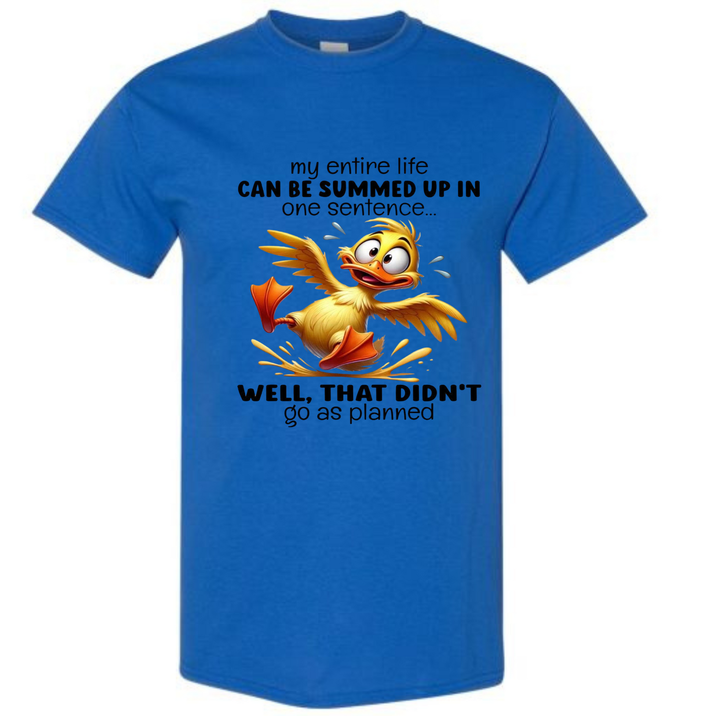 BISHAM DIDN'T GO AS PLANNED TEE