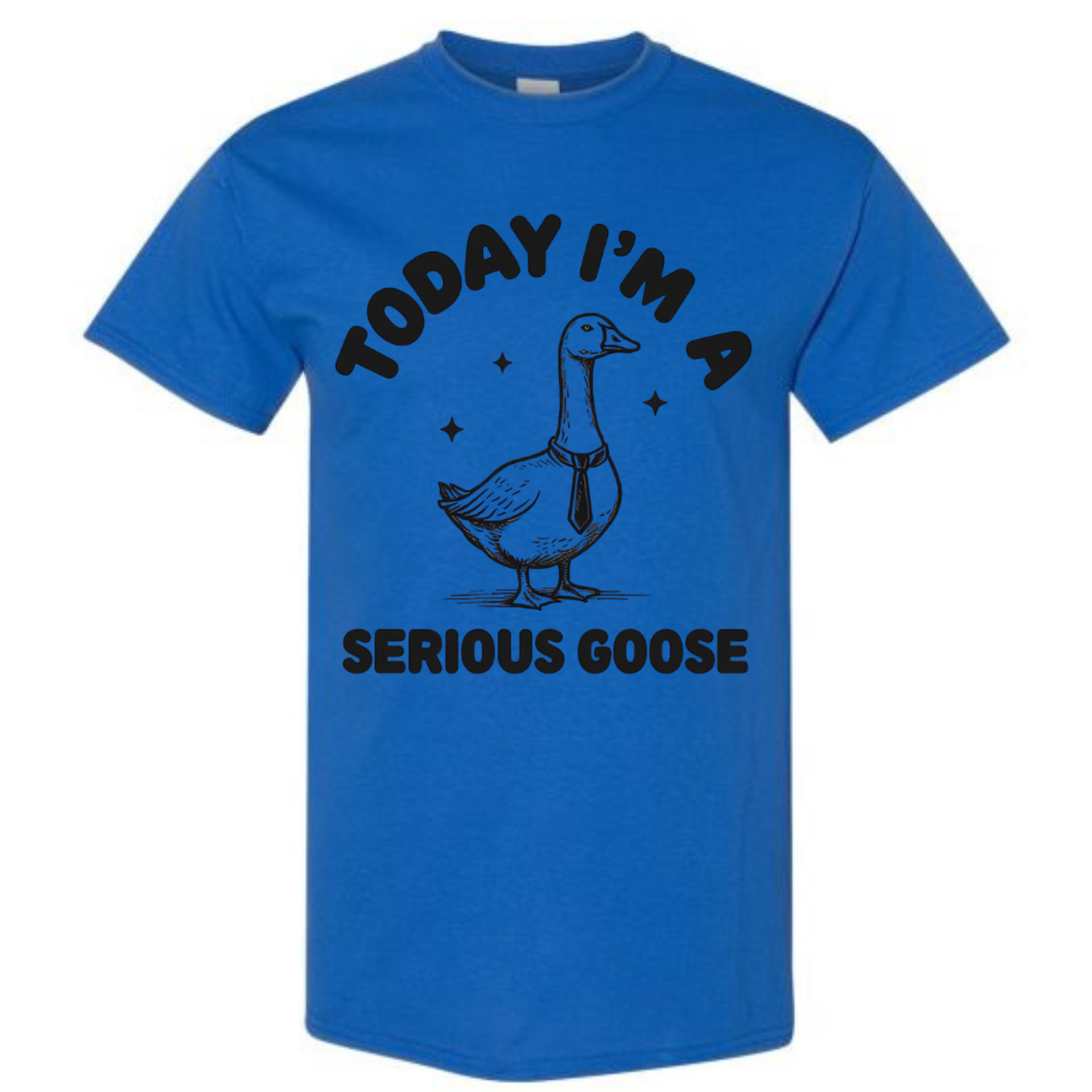 BISHAM SERIOUS GOOSE TEE