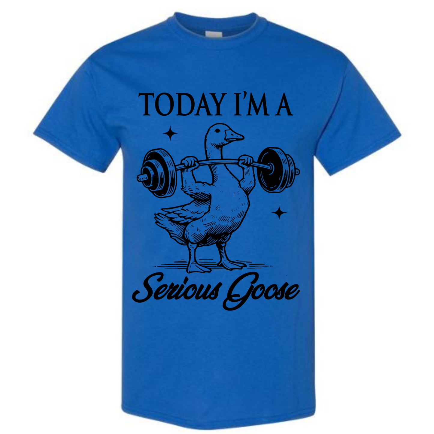 BISHAM SERIOUS GOOSE TEE