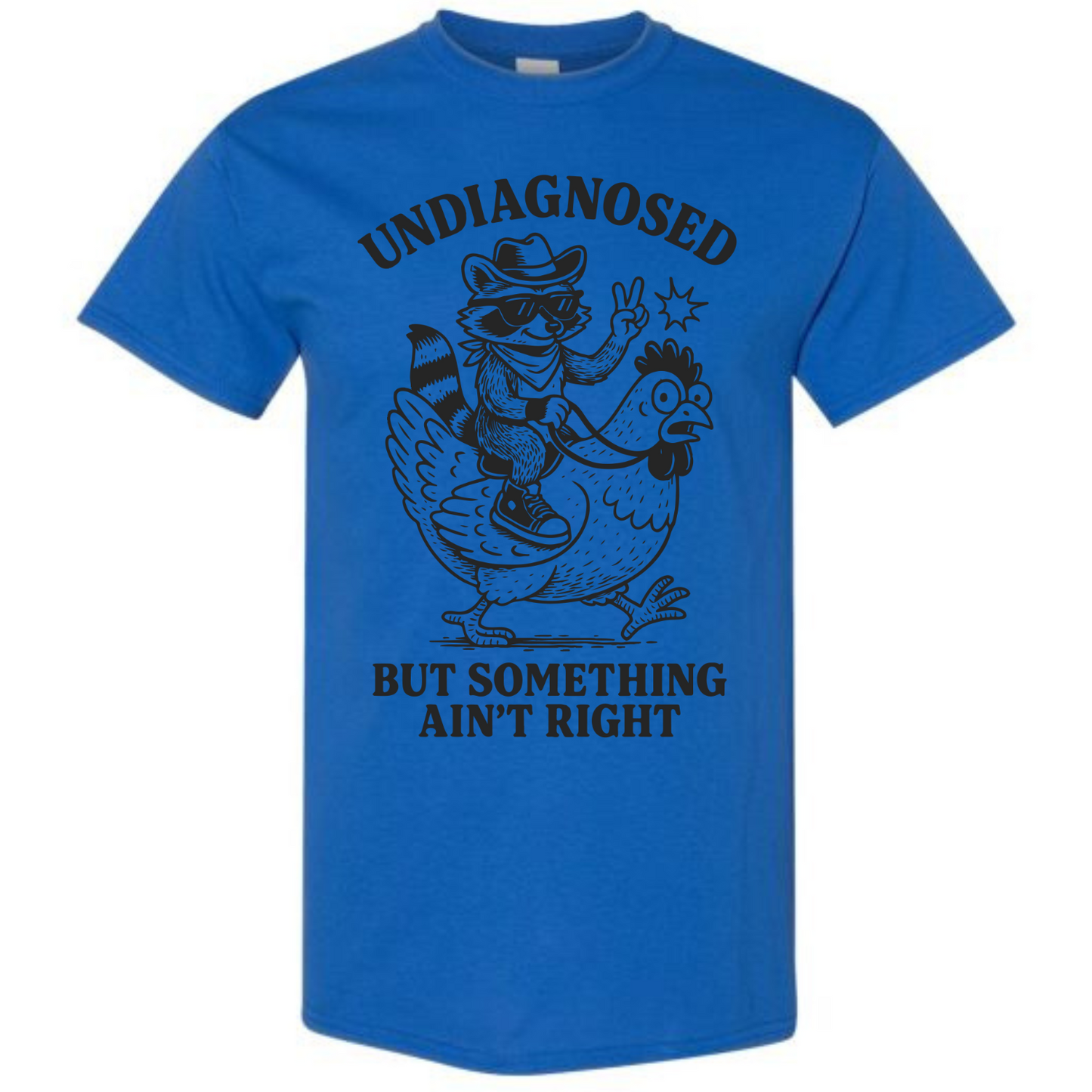 BISHAM UNDIAGNOSED RACOON TEE
