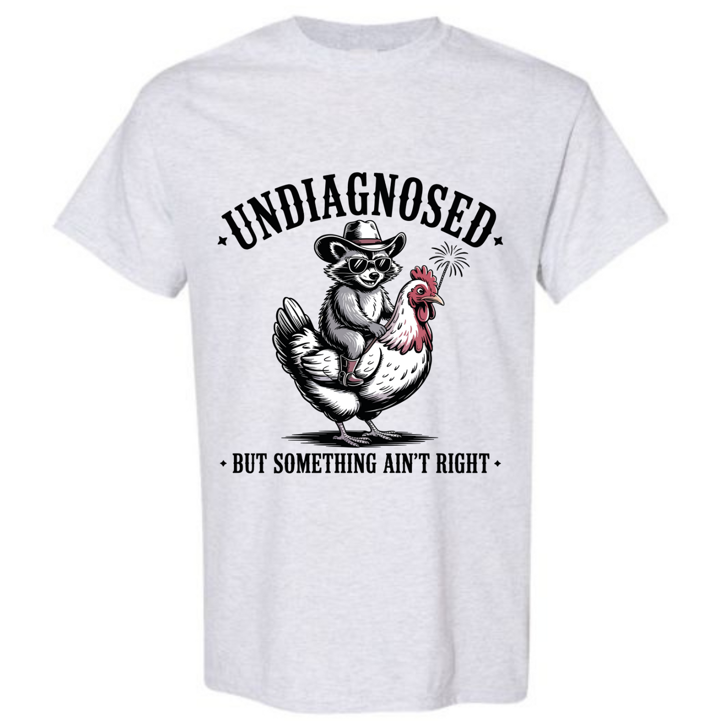 BISHAM UNDIANOSED RACOON TEE
