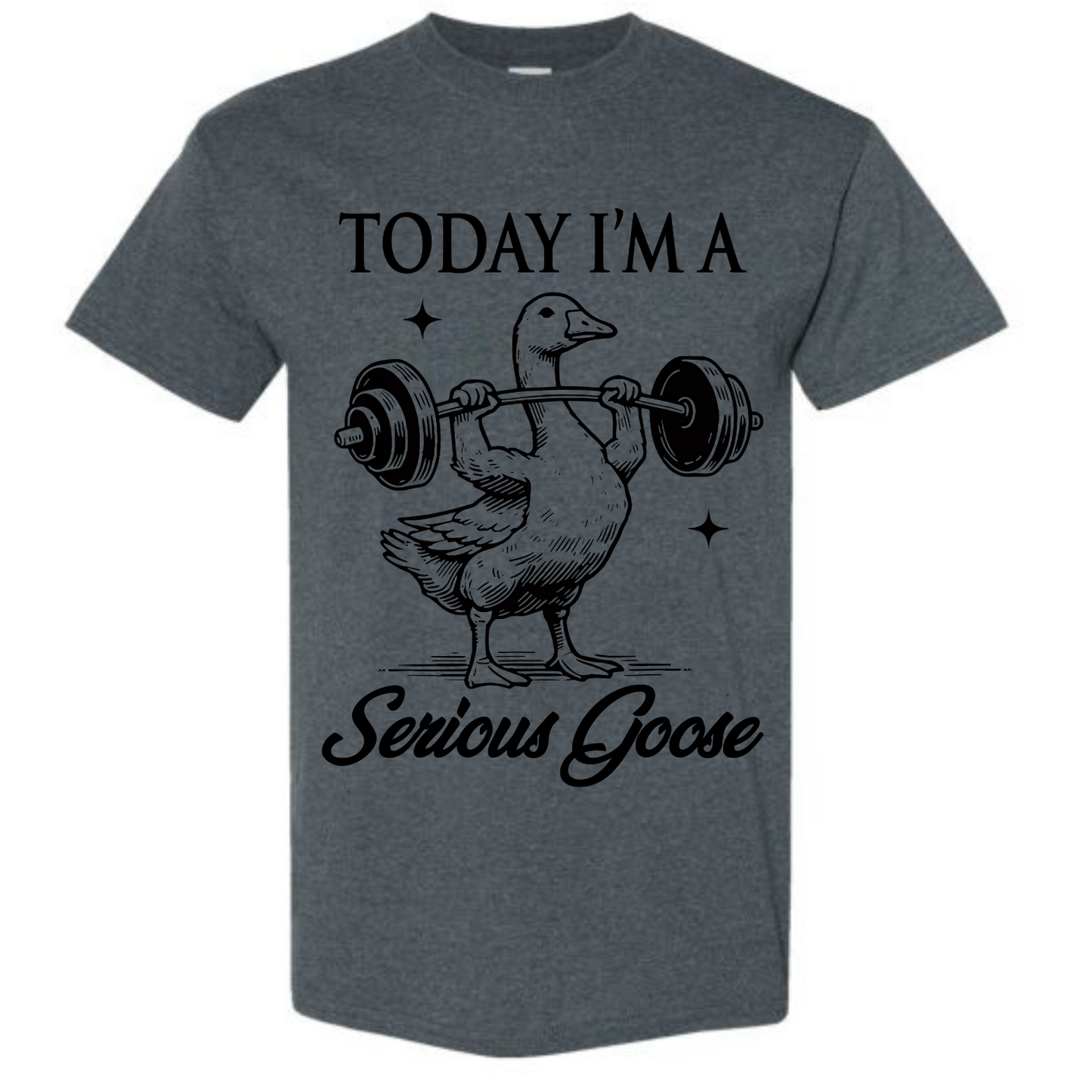 BISHAM SERIOUS GOOSE TEE