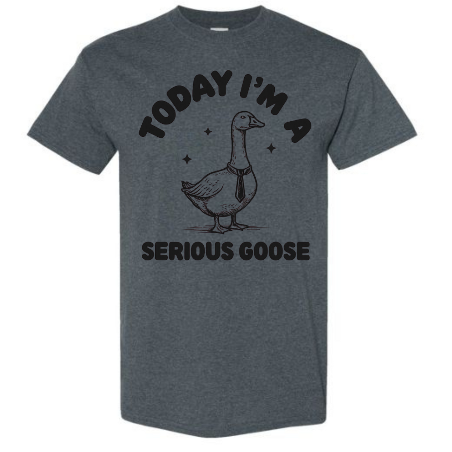 BISHAM SERIOUS GOOSE TEE