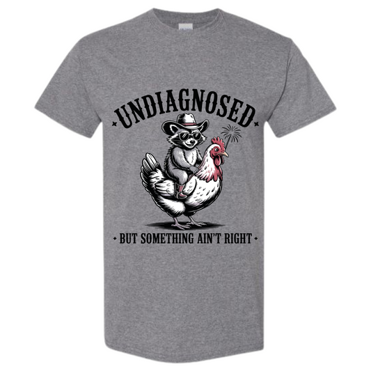 BISHAM UNDIANOSED RACOON TEE