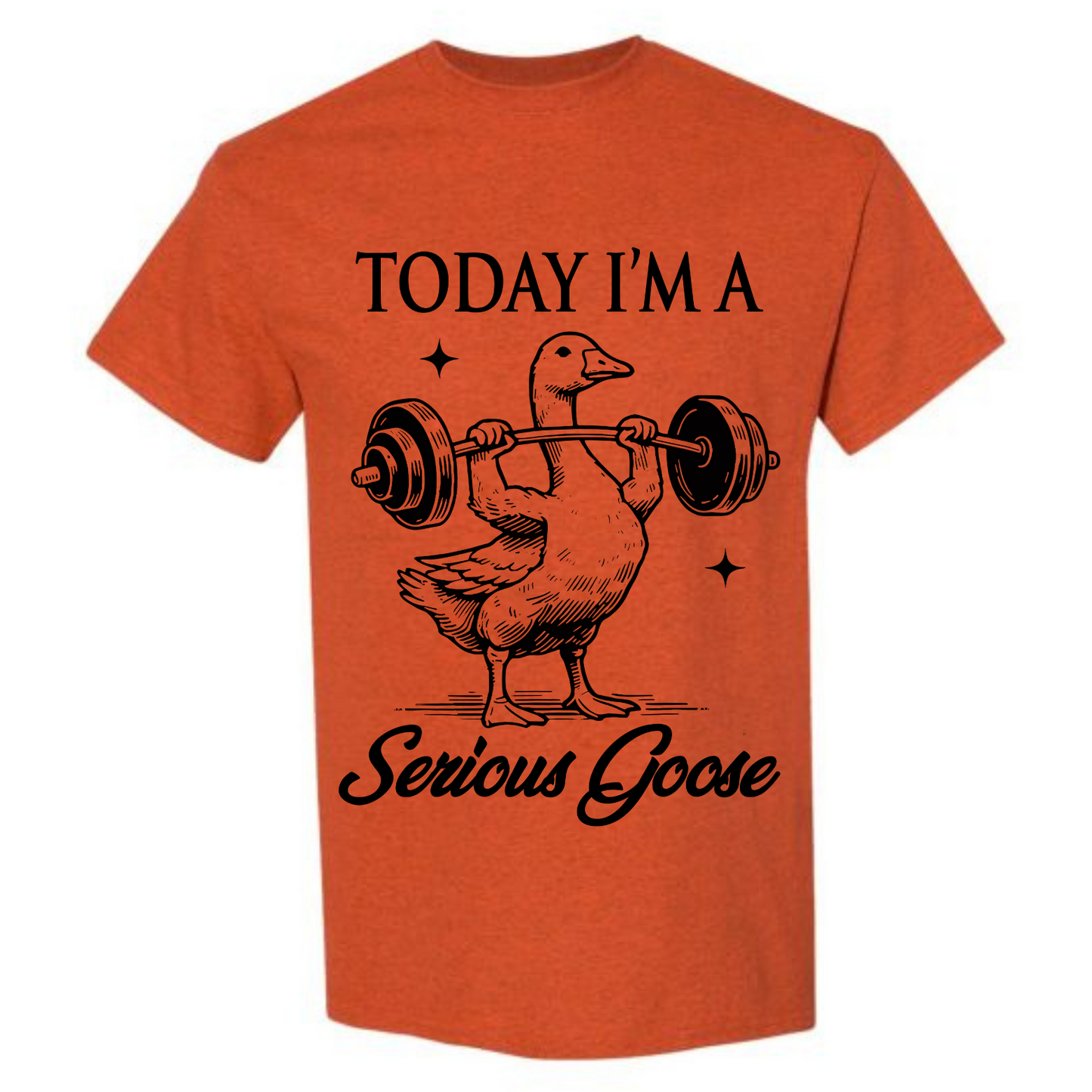 BISHAM SERIOUS GOOSE TEE