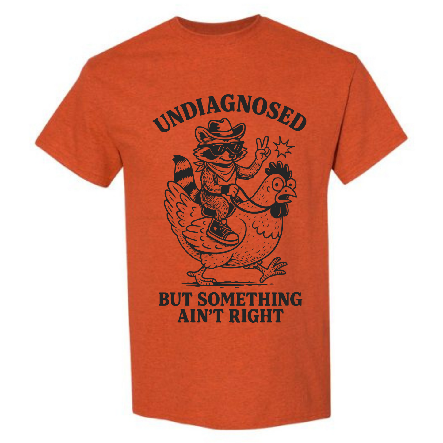 BISHAM UNDIAGNOSED RACOON TEE
